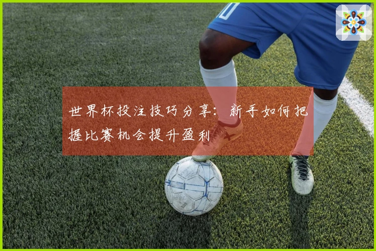 世界杯投注技巧分享：新手如何把握比赛机会提升盈利