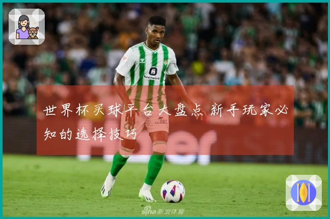 世界杯买球平台大盘点 新手玩家必知的选择技巧