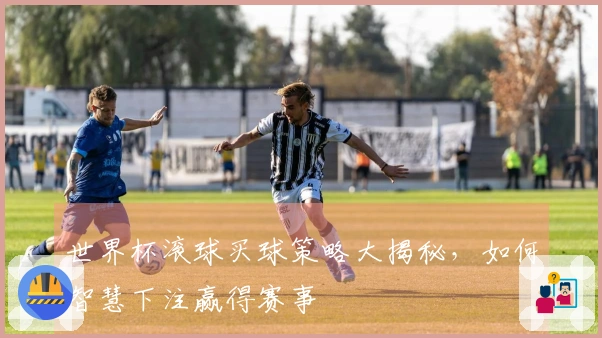 世界杯滚球买球策略大揭秘，如何智慧下注赢得赛事