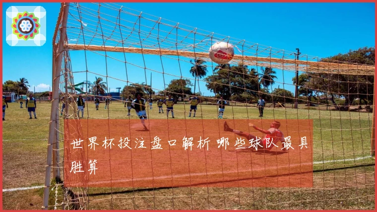 世界杯投注盘口解析 哪些球队最具胜算