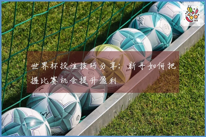 世界杯投注技巧分享：新手如何把握比赛机会提升盈利