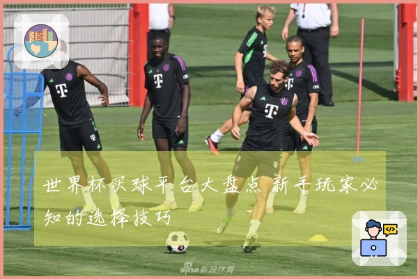 世界杯买球平台大盘点 新手玩家必知的选择技巧