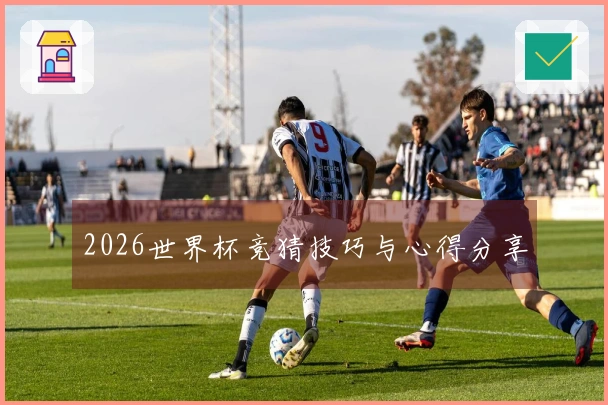 2026世界杯竞猜技巧与心得分享
